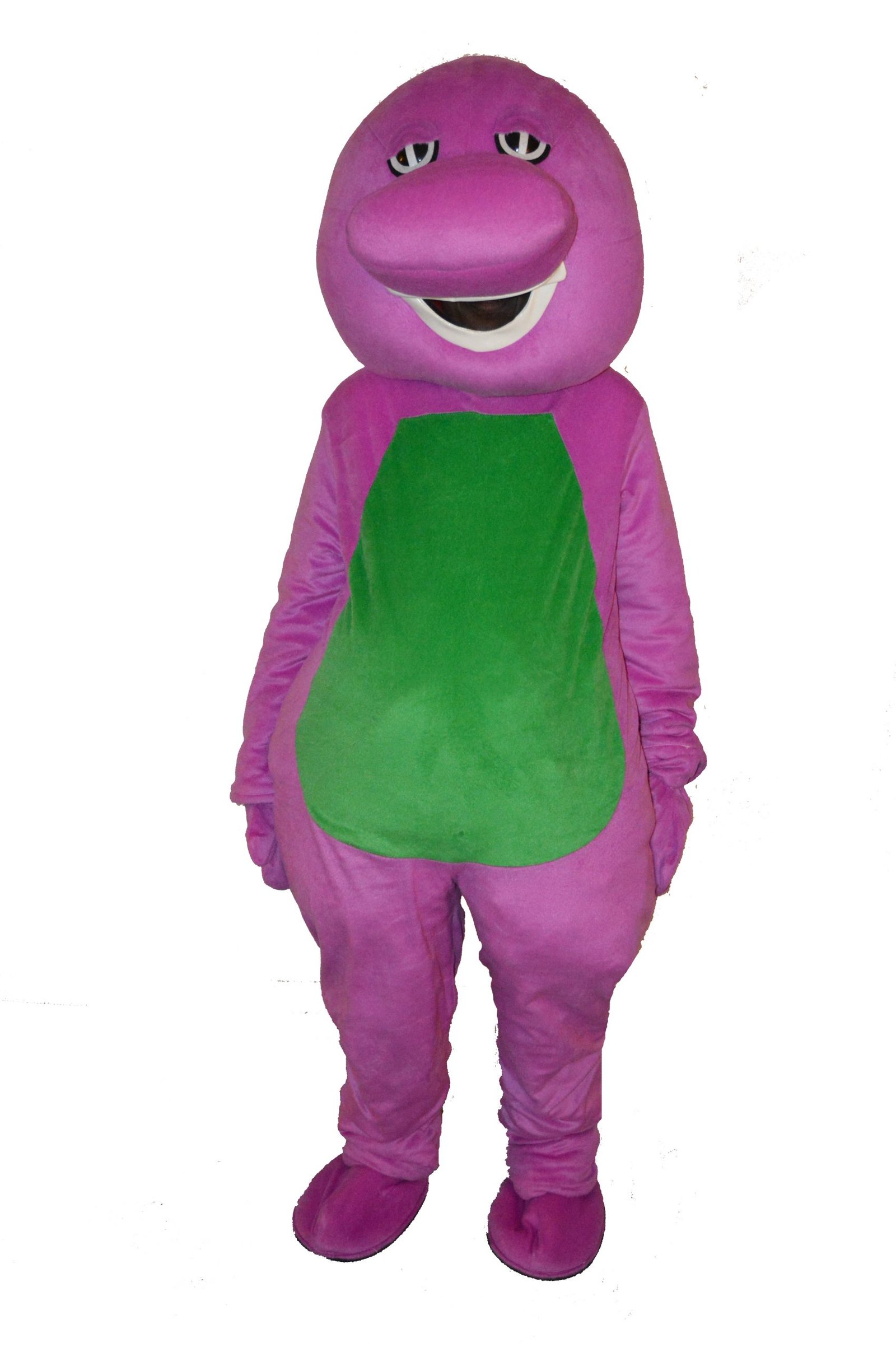 Barney Costume rental